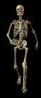 0402.gif (35794 bytes)